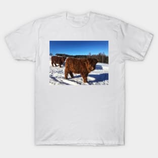 Scottish Highland Cattle Calves 1696 T-Shirt